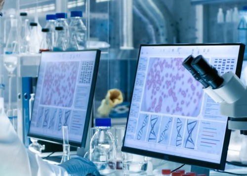 Project – Miami Conference 2025